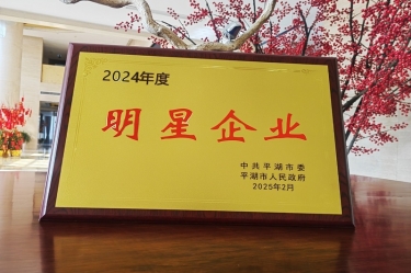 新春新景新气象 | MG不朽情缘纸业在平湖三干大会上喜摘声誉！！